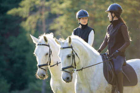 Discover the Beauty of Tangier on Horseback: Horse Riding in Tangier.