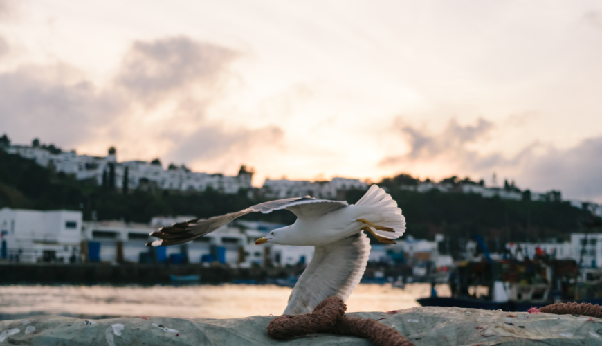 Travel agency